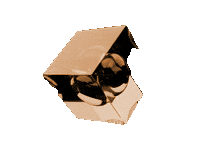 gif image